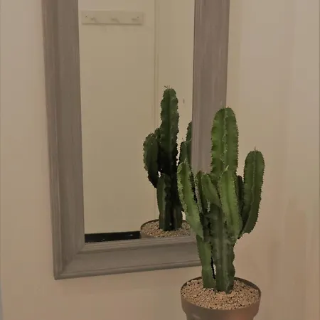 Apartman Papavero 69