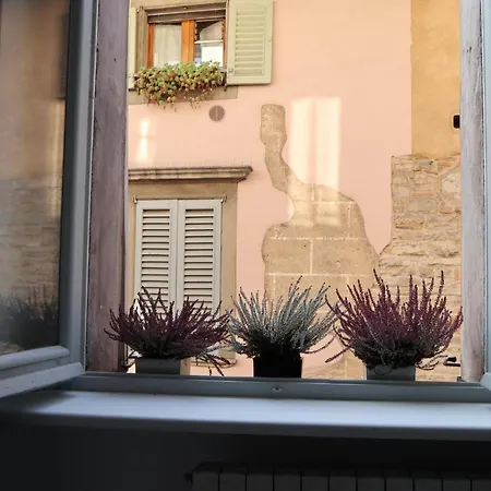 Papavero 69 * Bergamo