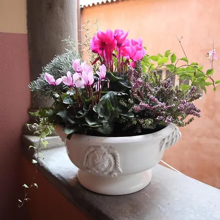 Daire Papavero 69 Bergamo